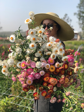 brownfield-flower-farms