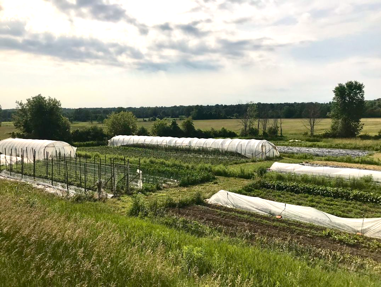 farming-small-recipe-profit