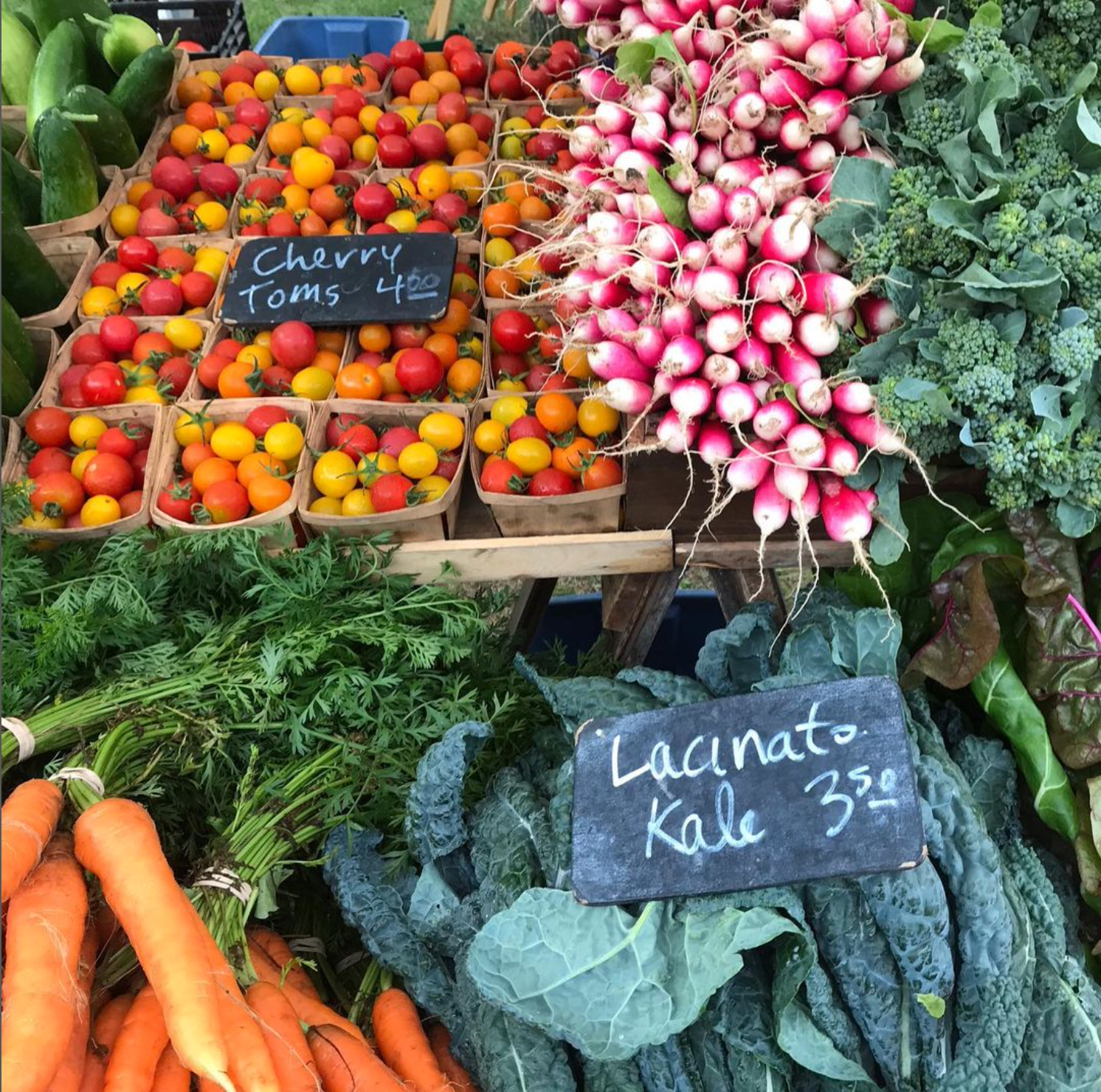 farming-small-recipe-profit