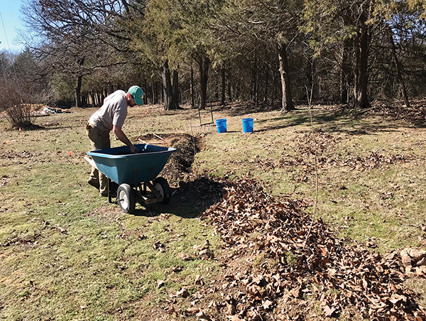 carbon-credits-reach-down-small-acreages