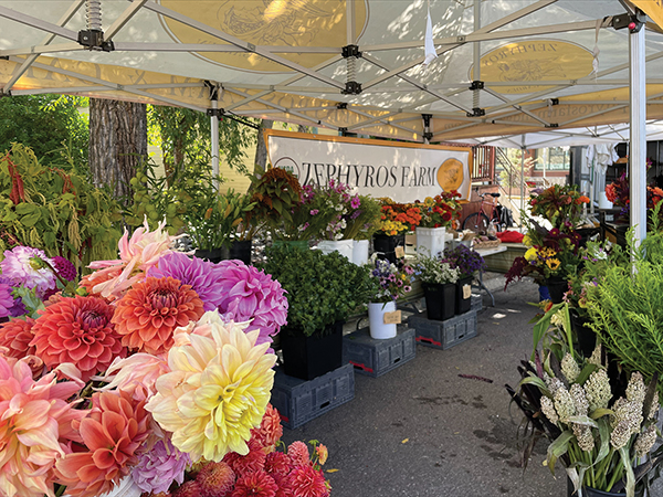 direct-marketing-flowers-part-1-farmers-markets-and