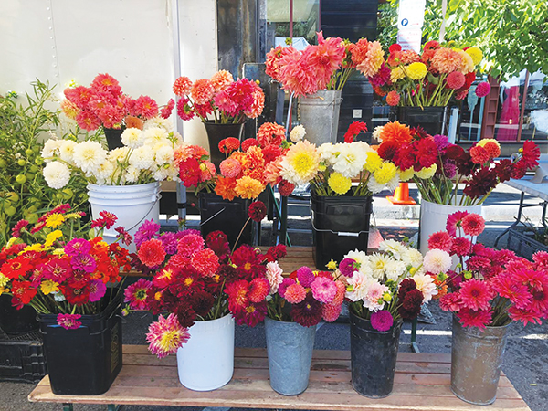 direct-marketing-flowers-part-1-farmers-markets-and