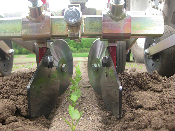 tools-and-strategies-reduce-time-spent-weeding