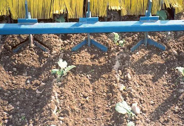 tools-and-strategies-reduce-time-spent-weeding