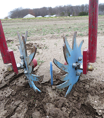 tools-and-strategies-reduce-time-spent-weeding