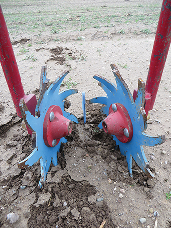 tools-and-strategies-reduce-time-spent-weeding