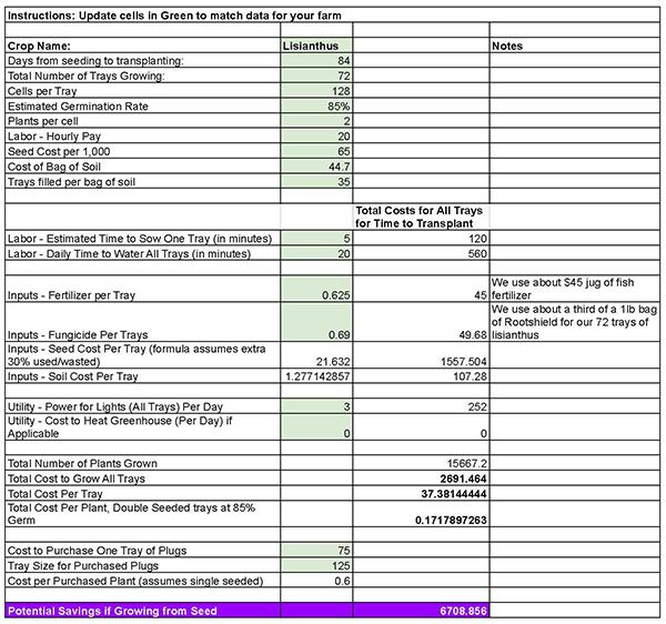 planning-and-starting-lisianthus-from-seed