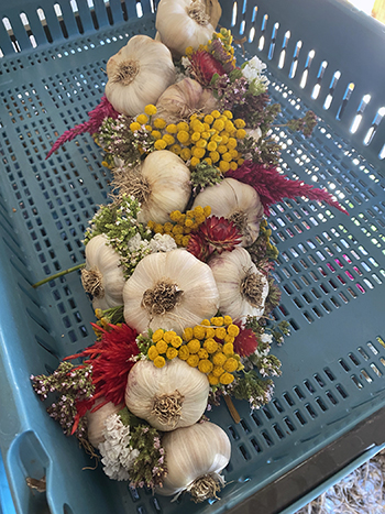 how-dry-flowers-that-come-back-from-market