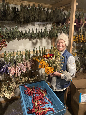 how-dry-flowers-that-come-back-from-market