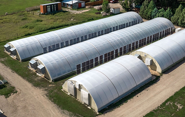 agrivoltaics-putting-the-farm-back-solar-farms