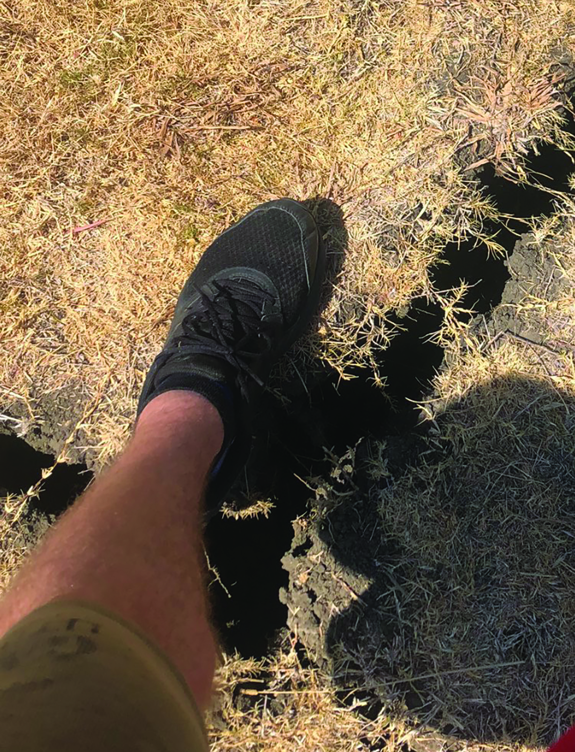 strategies-farming-clay