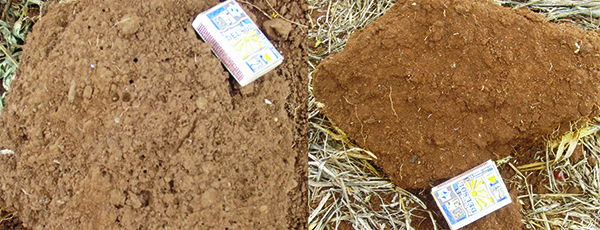 strategies-farming-clay