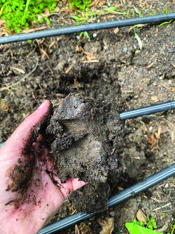 strategies-farming-clay