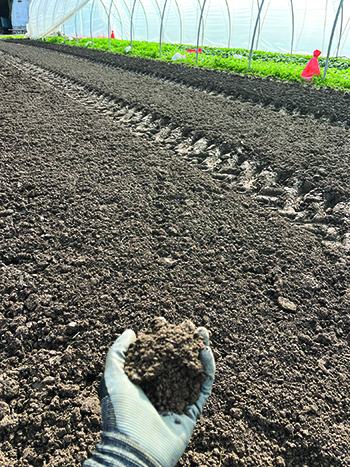 strategies-farming-clay