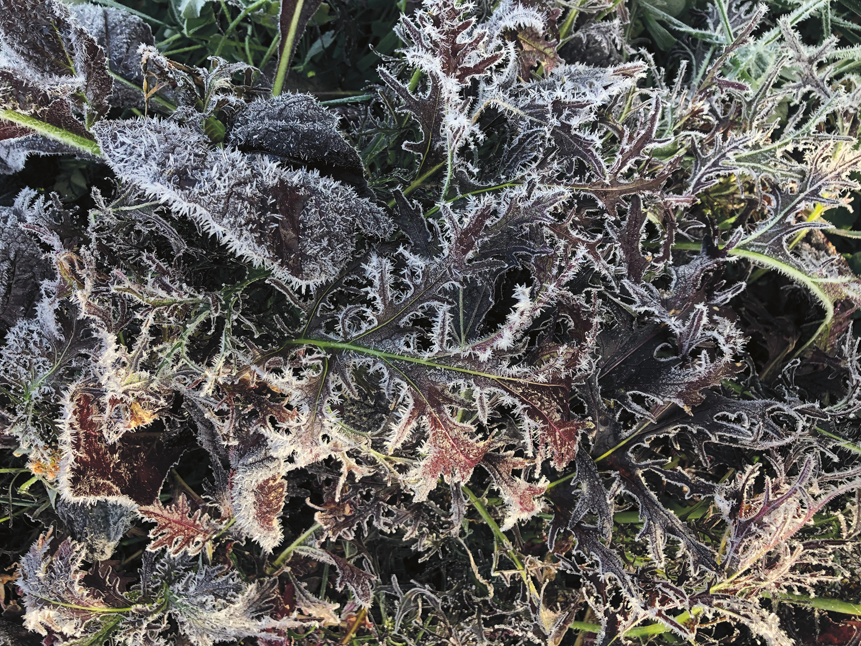 Eight-tips-for-winter-success