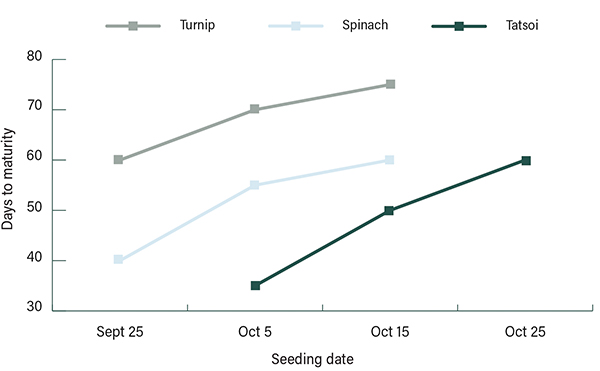 winter-crop-planning