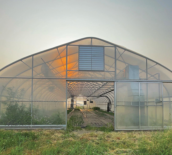 making-the-leap-farming-fulltime