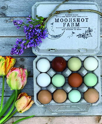 making-the-leap-farming-fulltime