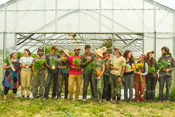 tournesol-cooperative-farm