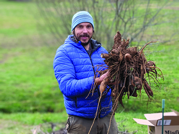 the-utopian-seed-project