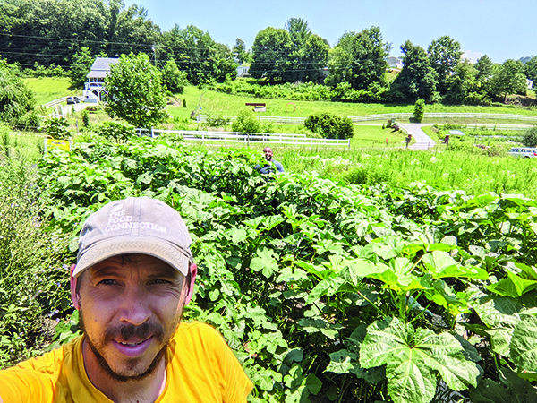 the-utopian-seed-project