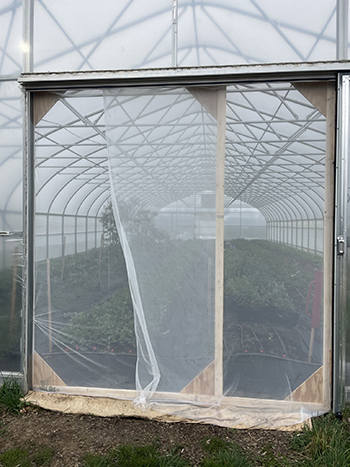 yearround-flower-farm-pest-management