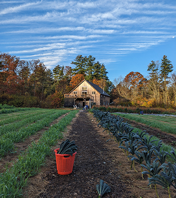 assawaga-farm-profile