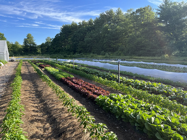 assawaga-farm-profile