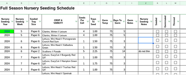 prevent-summer-decision-fatigue-planning