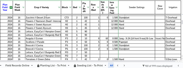 prevent-summer-decision-fatigue-planning