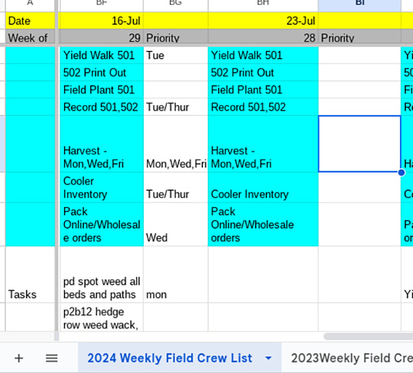 prevent-summer-decision-fatigue-planning