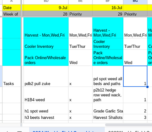 prevent-summer-decision-fatigue-planning