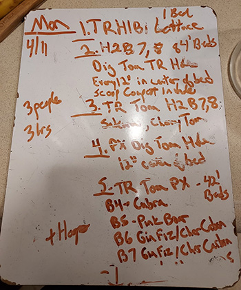 prevent-summer-decision-fatigue-planning