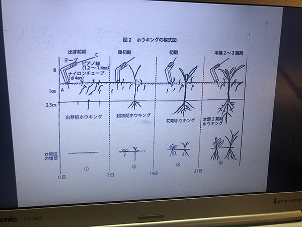 touring-market-farms-japan-2301