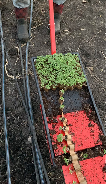 paperpot-transplanter-farmers-share-advantages-and