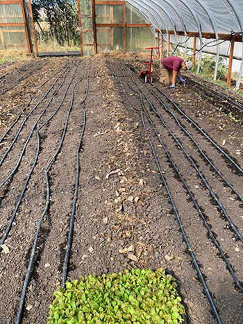 paperpot-transplanter-farmers-share-advantages-and