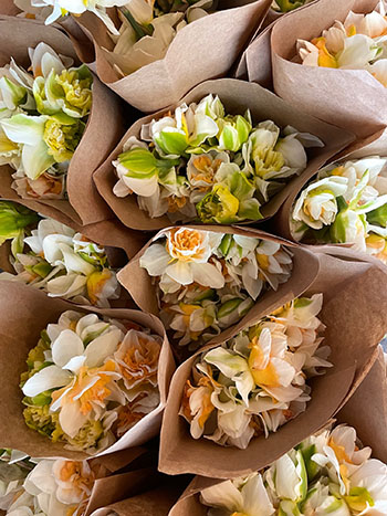 eleven-things-we-did-make-our-farm-profitable-finally