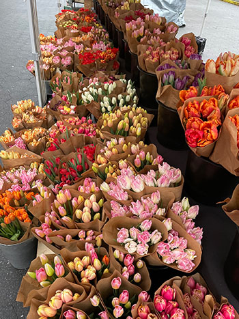 eleven-things-we-did-make-our-farm-profitable-finally