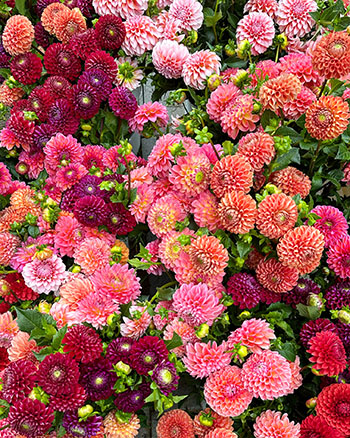 eleven-things-we-did-make-our-farm-profitable-finally