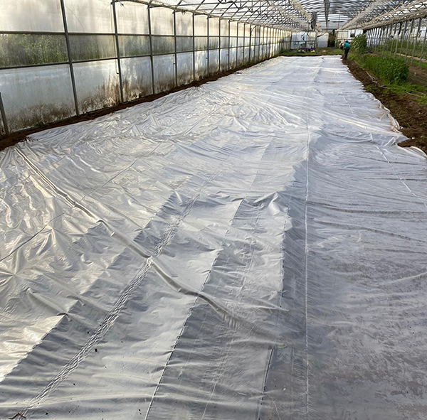 improving-soil-quality-and-treating-root-pathogens