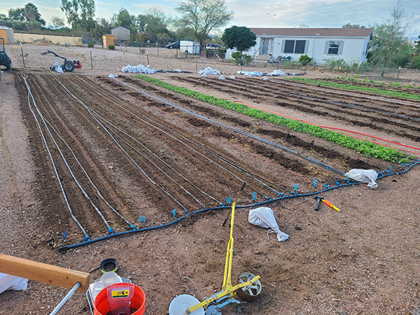 quickturn-cover-crops-intensive-market-farm