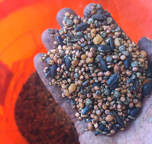 quickturn-cover-crops-intensive-market-farm