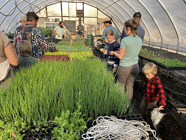 how-start-your-own-farm-retreat