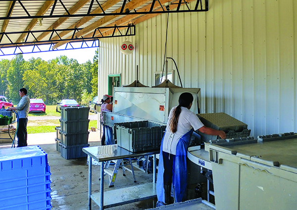 equipment-review-the-azs-rinse-conveyor