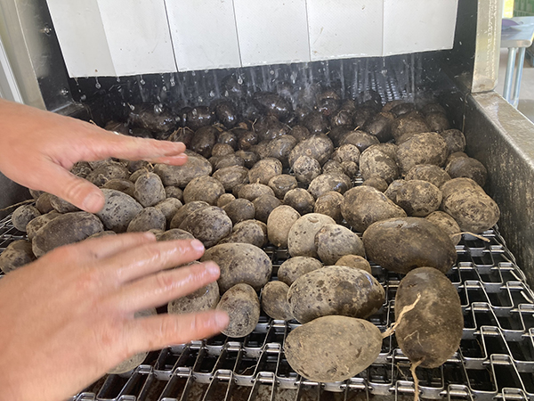 equipment-review-the-azs-rinse-conveyor