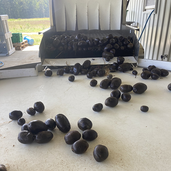 equipment-review-the-azs-rinse-conveyor