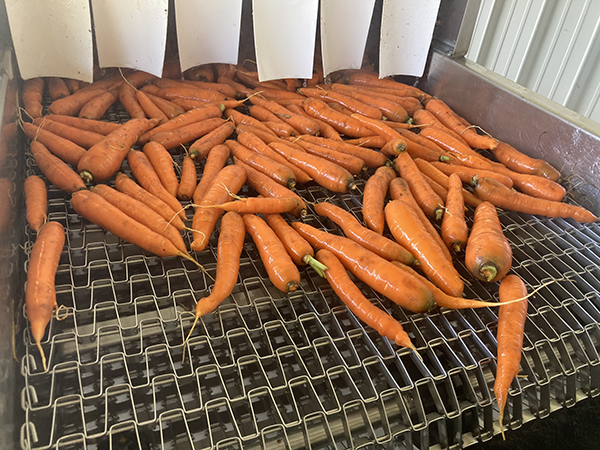 equipment-review-the-azs-rinse-conveyor