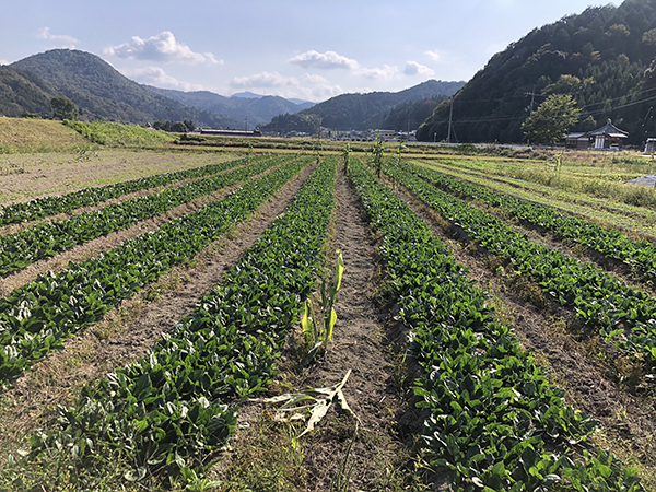 touring-market-farms-japan