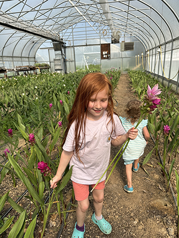 why-and-how-we-automated-our-flower-greenhouses