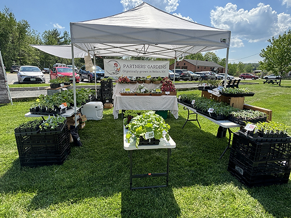 maximize-spring-cash-flow-garden-starts